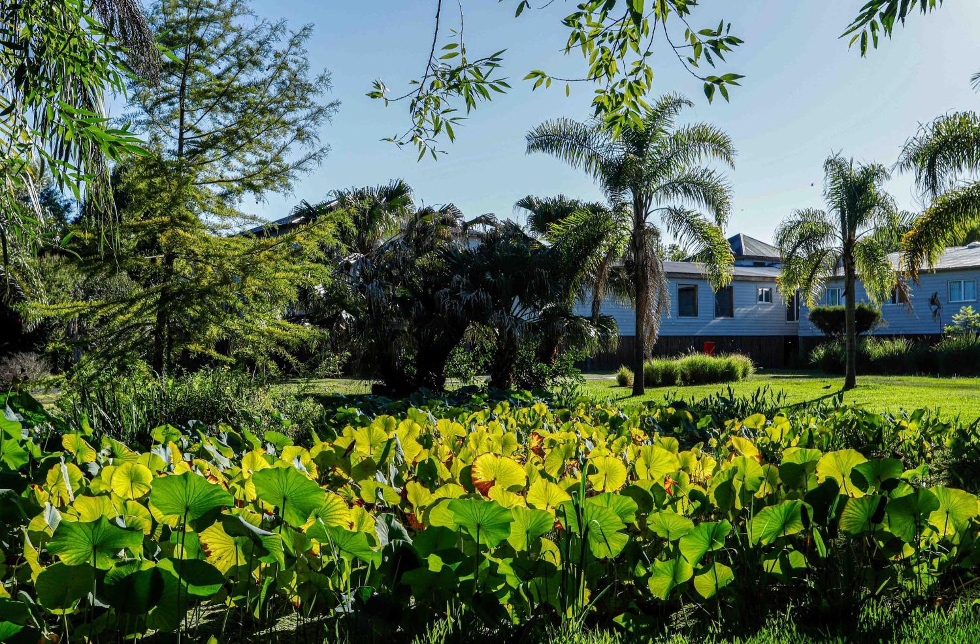 Delta Eco Resort & Spa 티그레 외부 사진