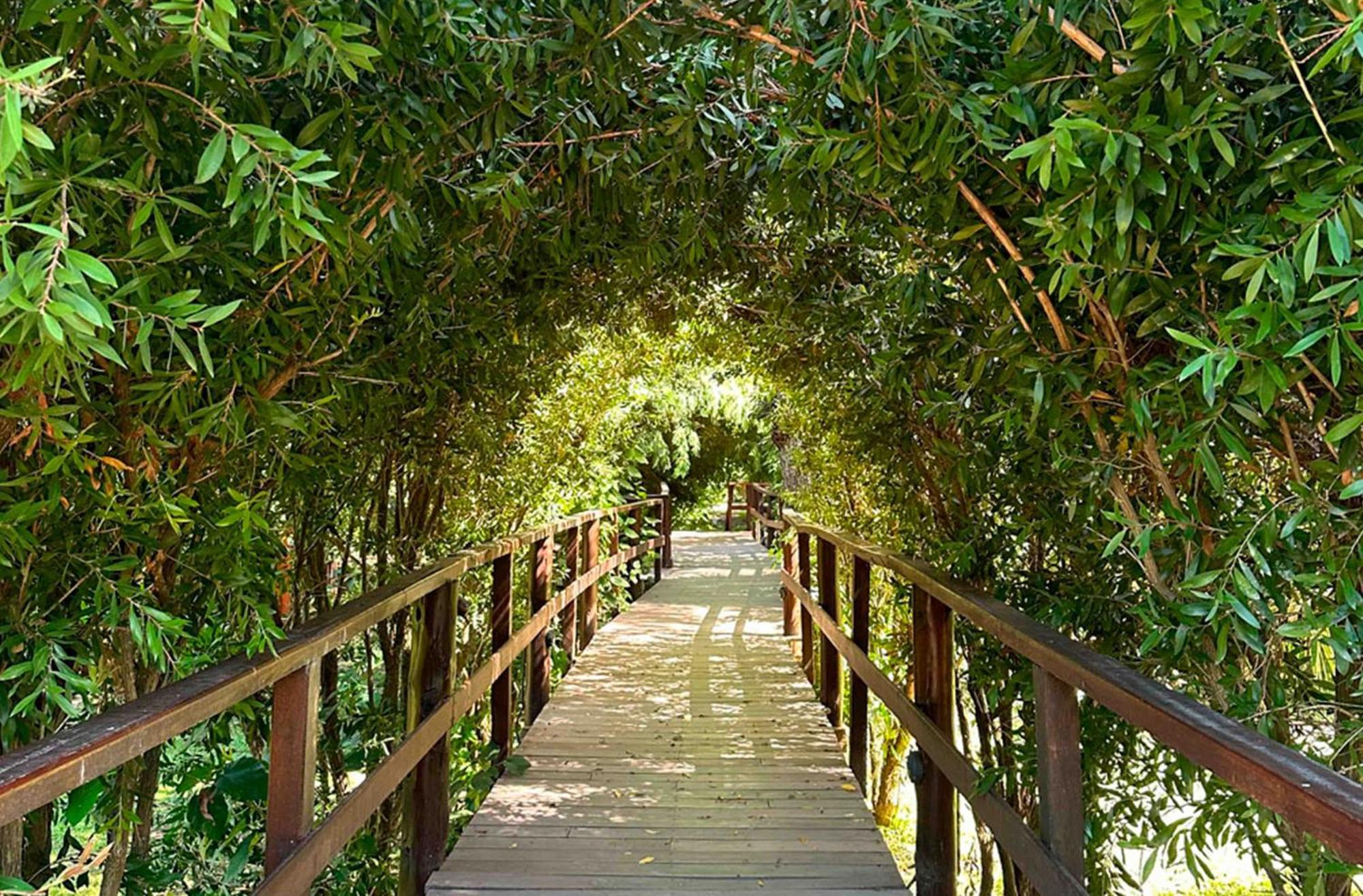 Delta Eco Resort & Spa 티그레 외부 사진
